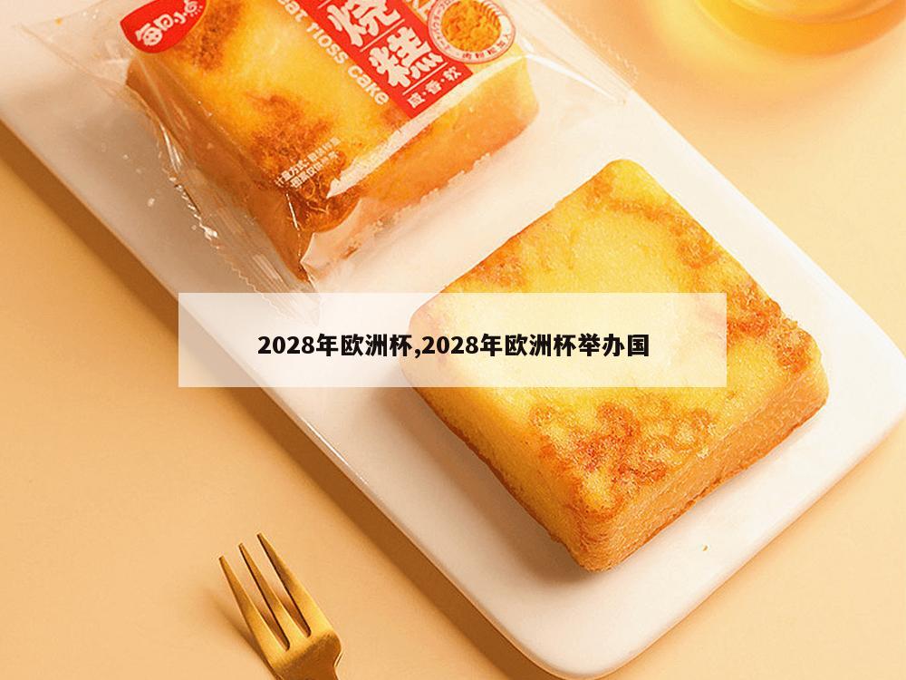 2028年欧洲杯,2028年欧洲杯举办国