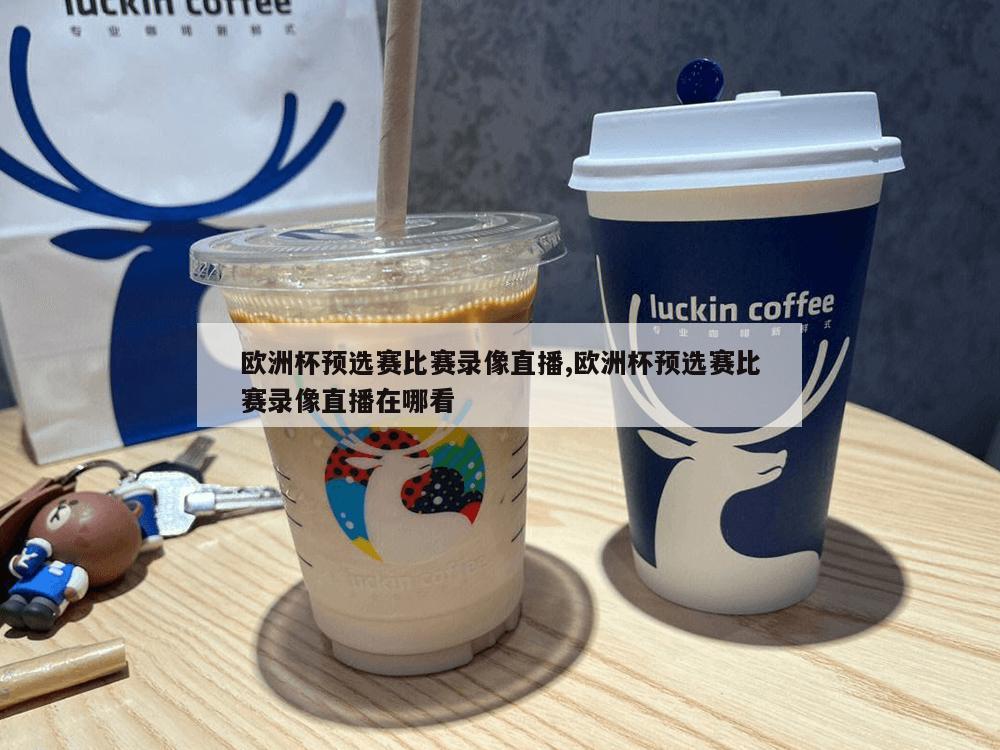 欧洲杯预选赛比赛录像直播,欧洲杯预选赛比赛录像直播在哪看