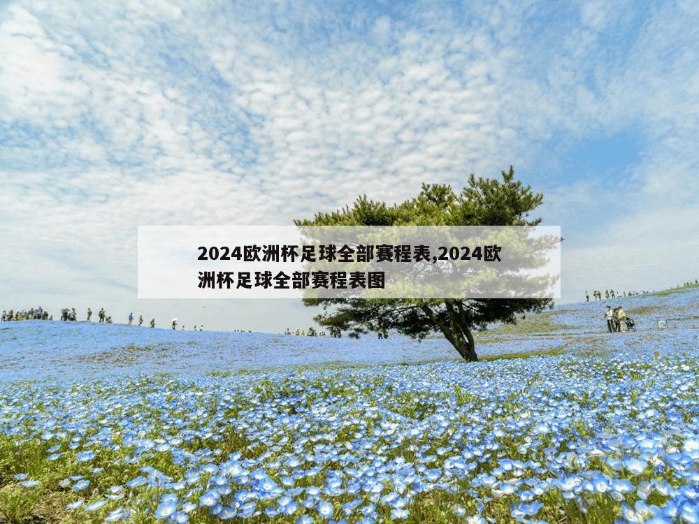 2024欧洲杯足球全部赛程表,2024欧洲杯足球全部赛程表图