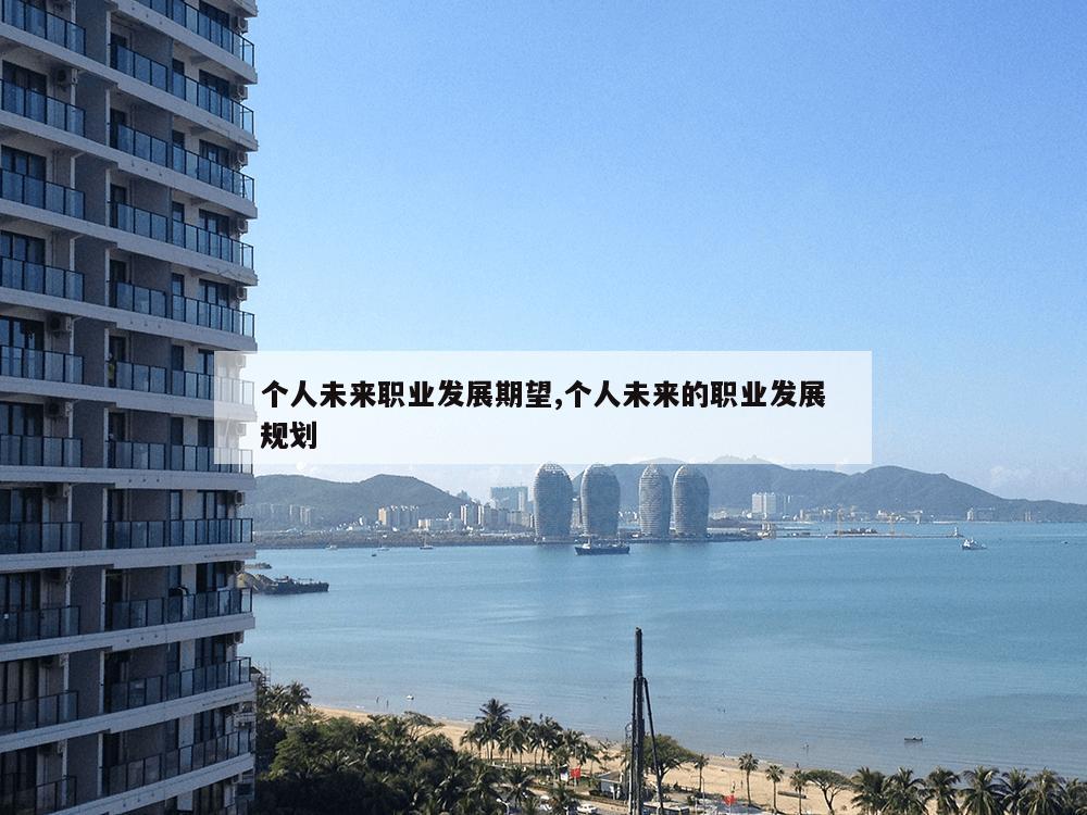 个人未来职业发展期望,个人未来的职业发展规划