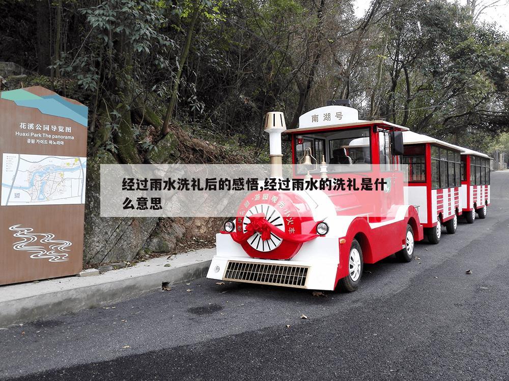 经过雨水洗礼后的感悟,经过雨水的洗礼是什么意思