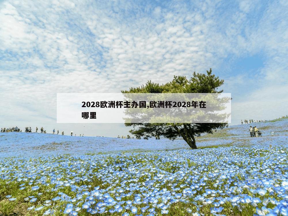 2028欧洲杯主办国,欧洲杯2028年在哪里