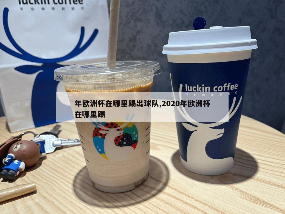 年欧洲杯在哪里踢出球队,2020年欧洲杯在哪里踢